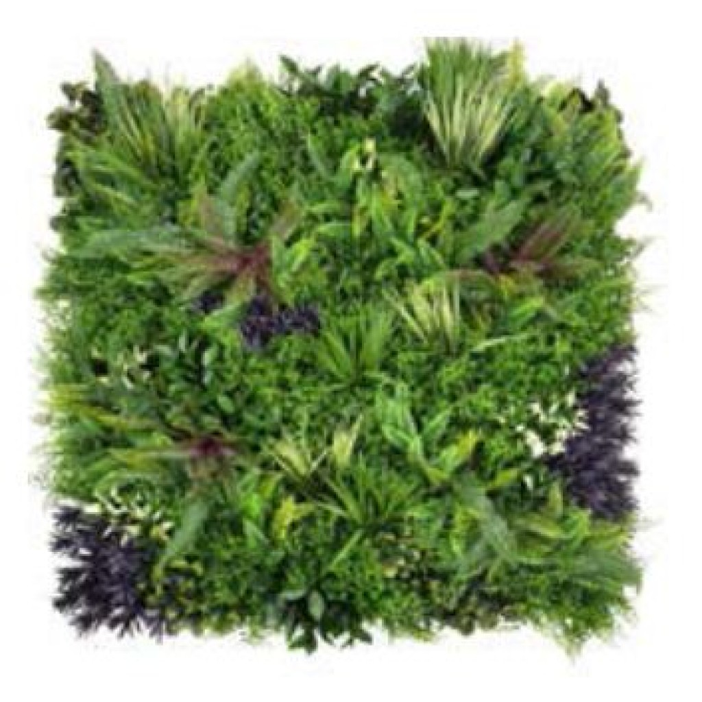 JARDIN VERTICAL ARTIFICIAL RETIRO B