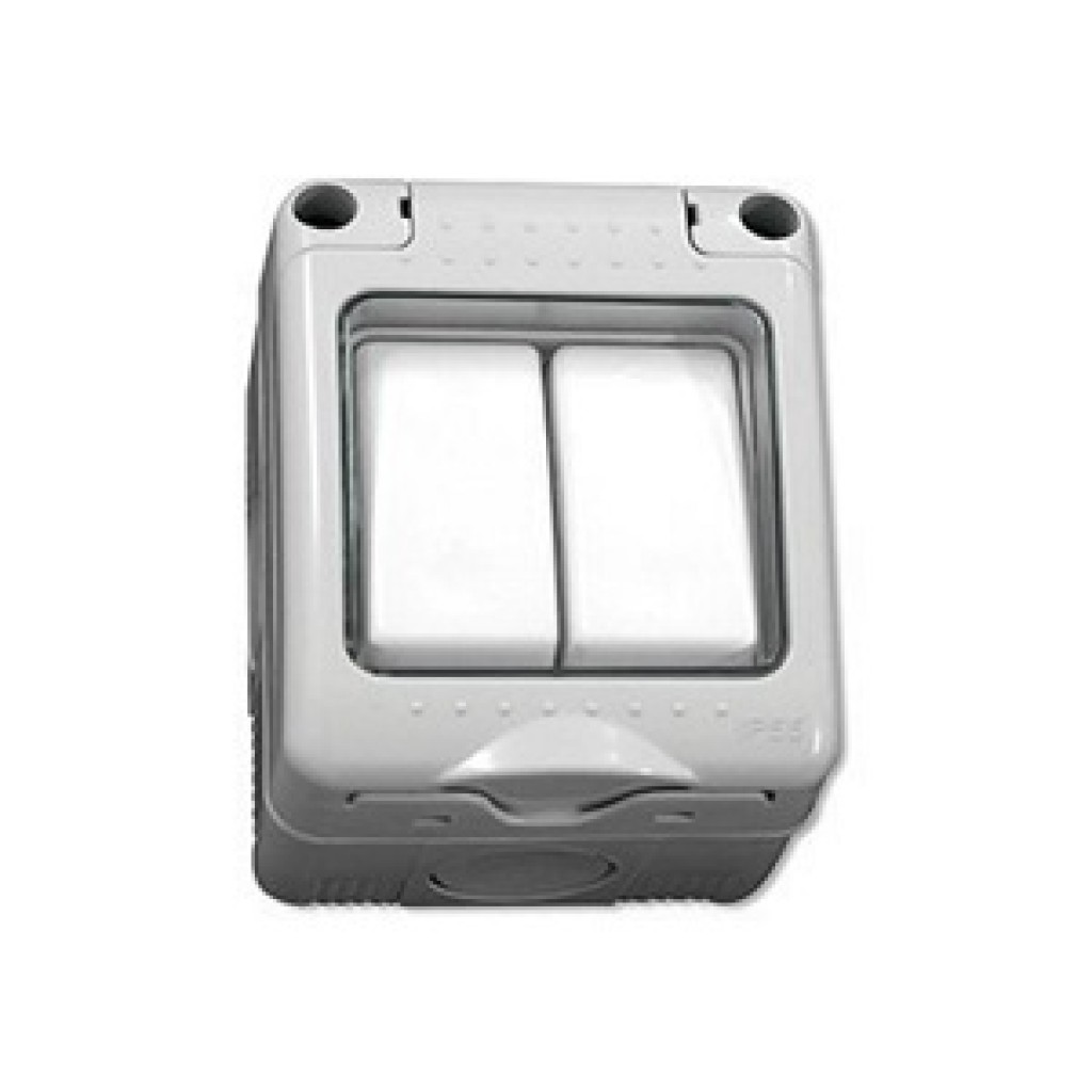 INTERRUPTOR DOBLE PLATA         (082038)