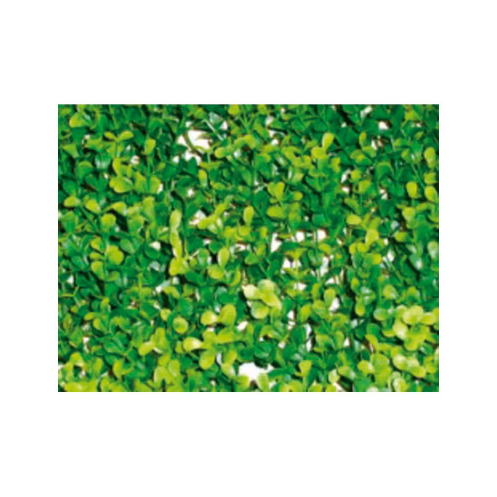 JARDIN VERTICAL LIMA      50X50 CM