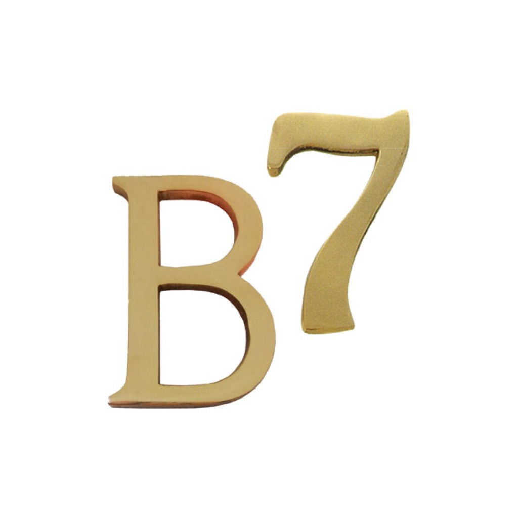 LETRA LATON 100 MM        A LATON PULIDO