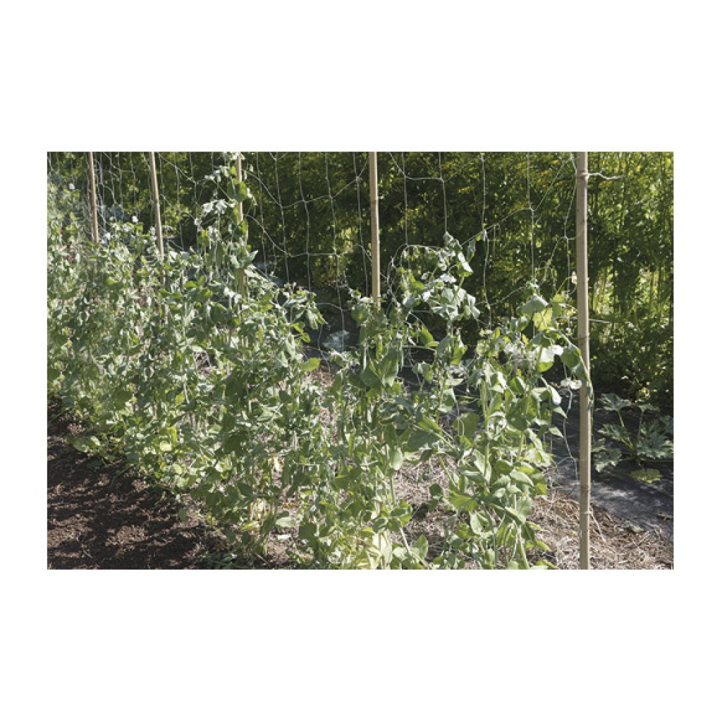 MALLA ENTUTORAR BIOCOMPOST1,85 X 5 M