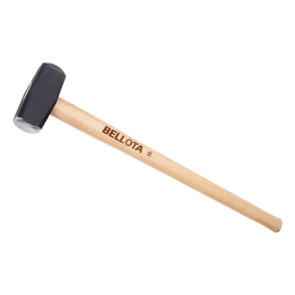 MAZA CON MANGO            3 KG