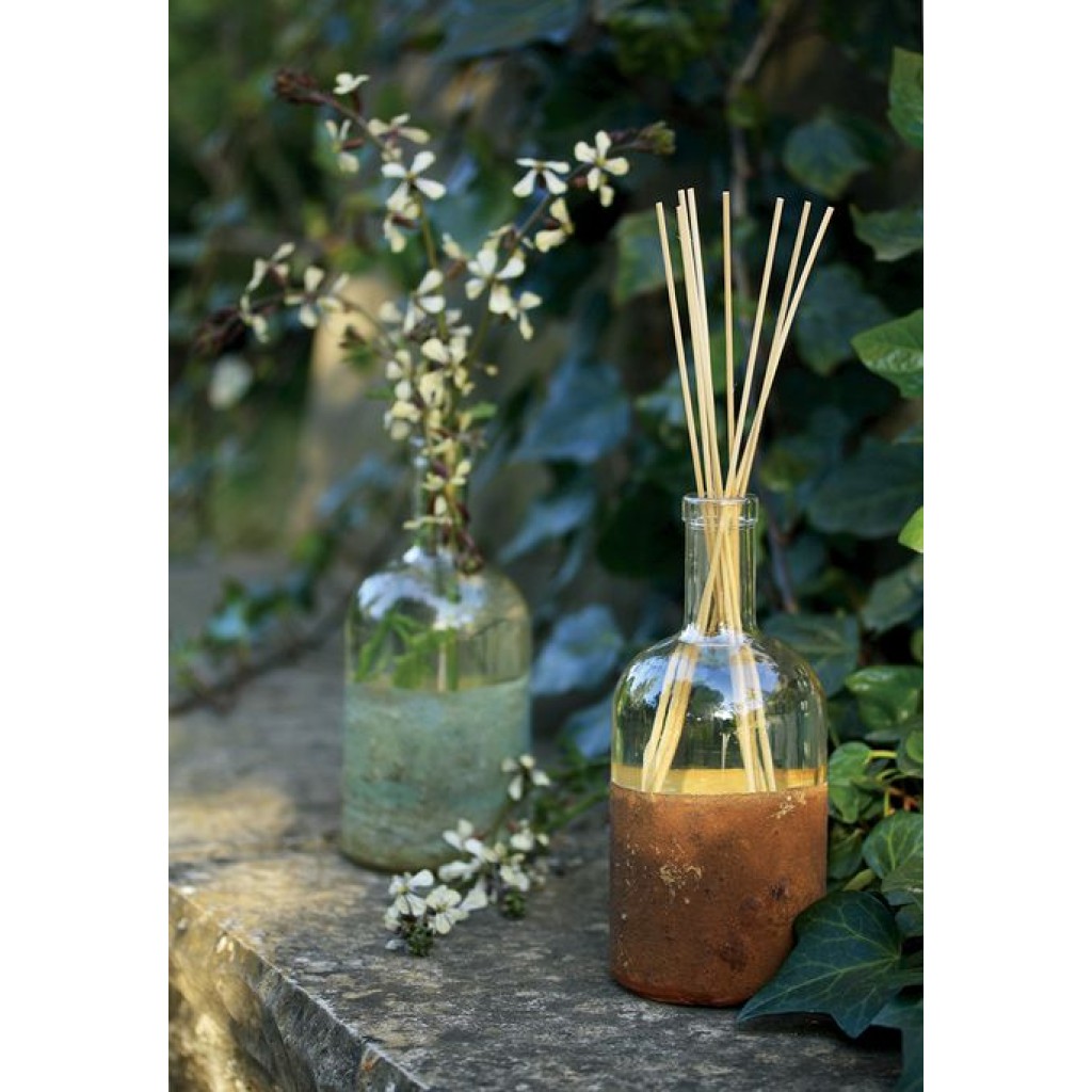 MIKADO ORGANICO      500ML ORGMIK33 CITR