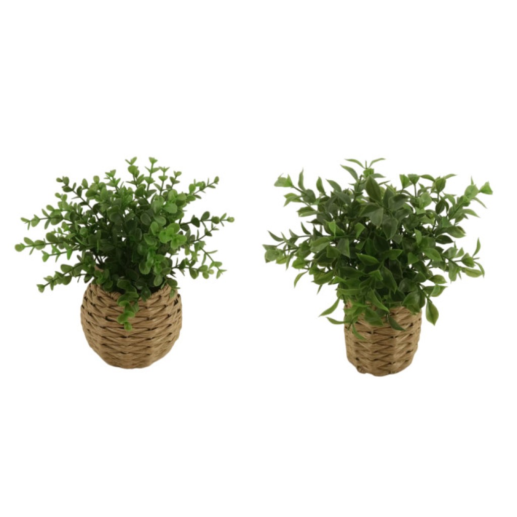 PLANTA ARTI./FIBRA    25X25X28 SURTIDO