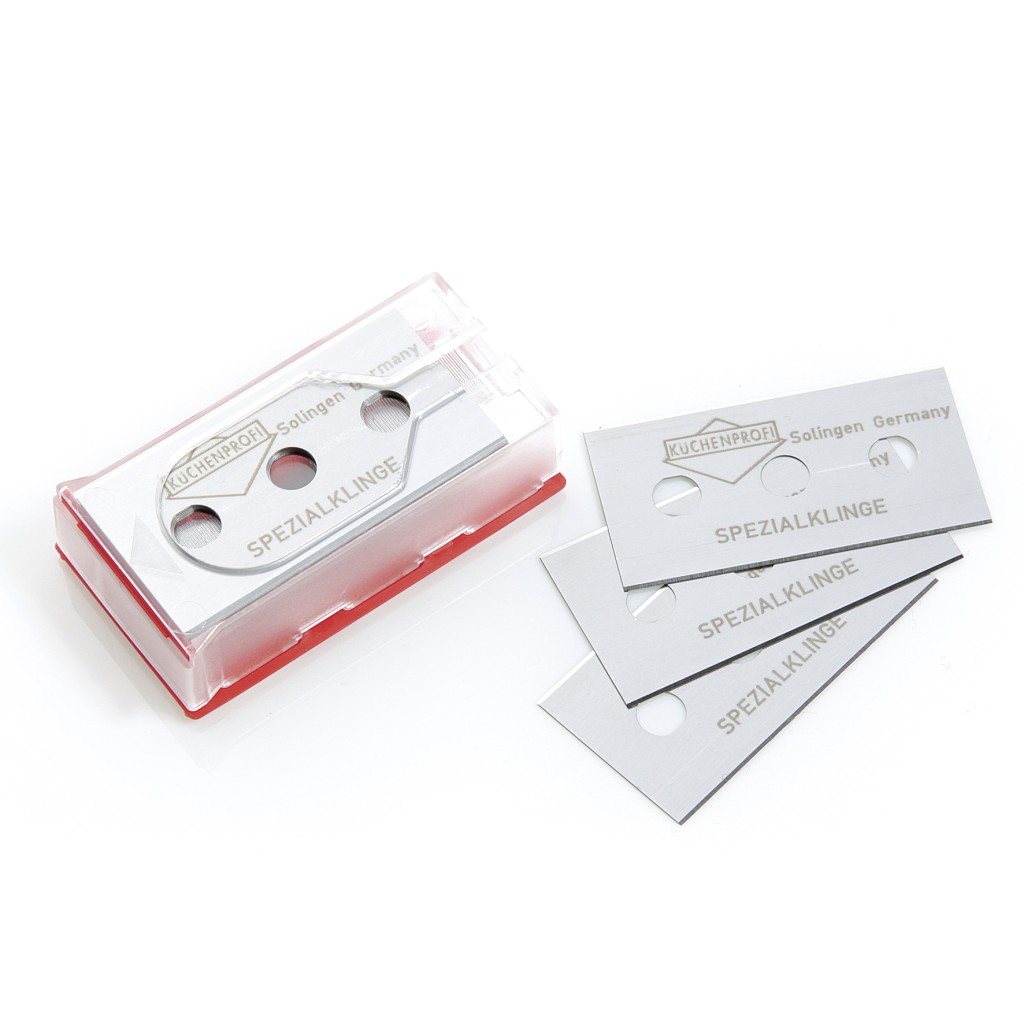 RECAMBIO PARA RASQUETA        1310232810