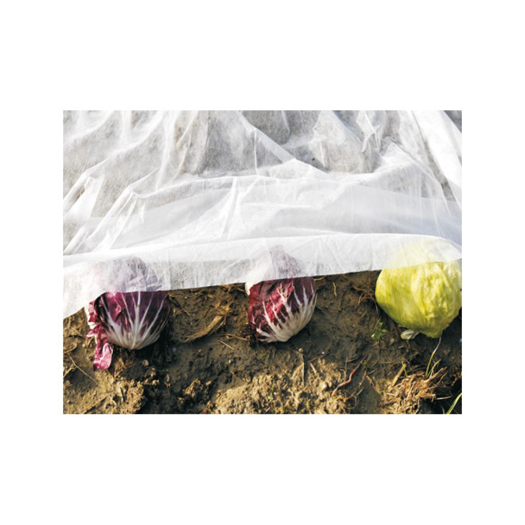 TELA PROTECCION PLANTAS (B2 X 30 MT 17GR