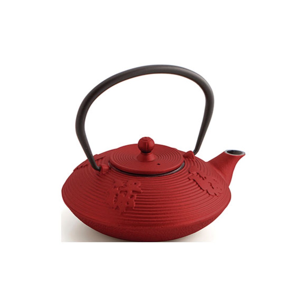 TETERA HIERRO CON FILTRO R0,8 L