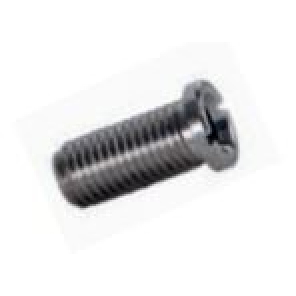 TORNILLO LATON CESTA INOX 2 UN. (B62516)