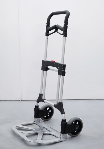 Carro plegable ruedas 200 Kg 2