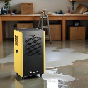 Dryer Pro BGD1701-90L por día – Deshumidificador industrial portátil 4