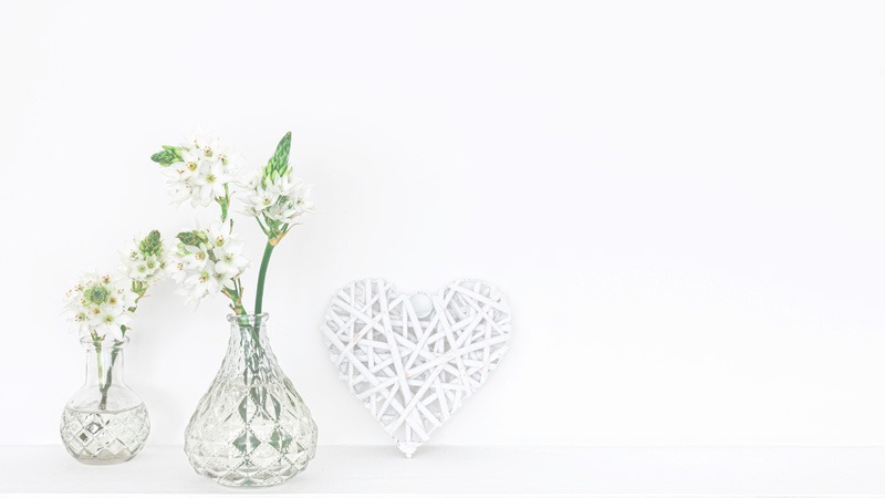 Plantas y Flores Artificiales