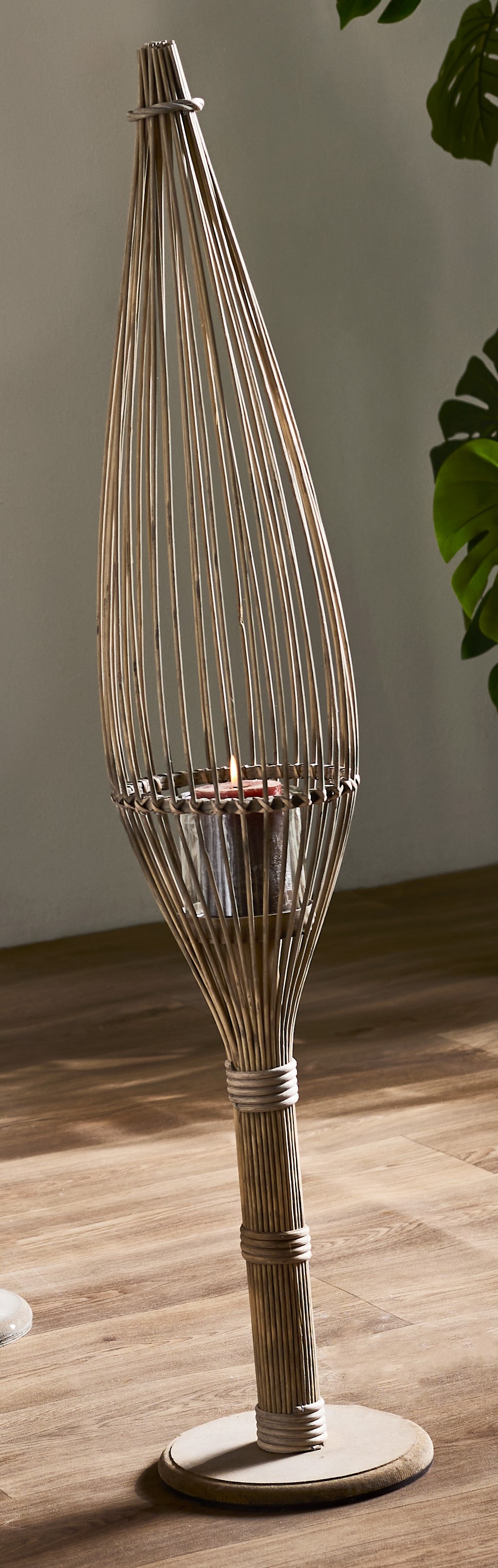 PIE MIMBRE HIKARI NATURAL 22X110 CMS.