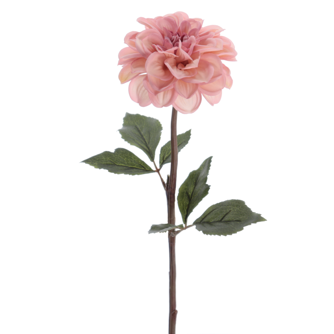 DHALIA 58CM ROSA
