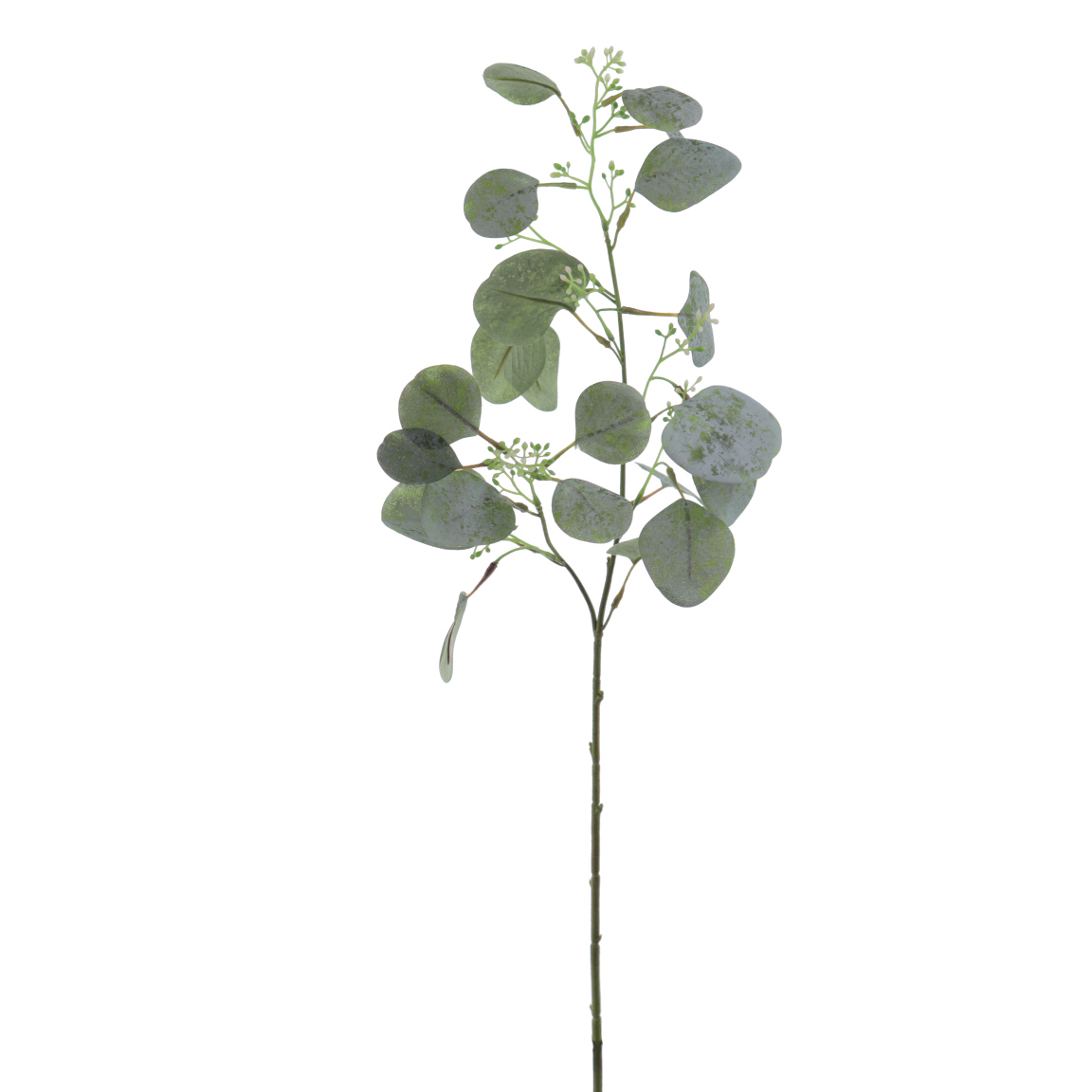 EUCALYPTUS VERDE 60CM