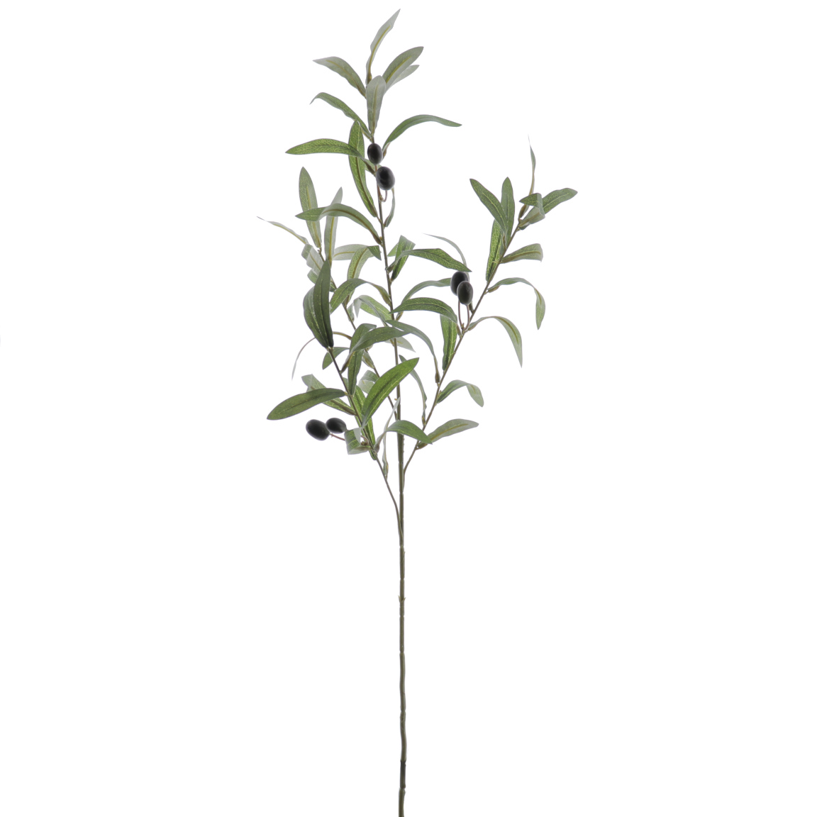 OLIVO 76CM VERDE