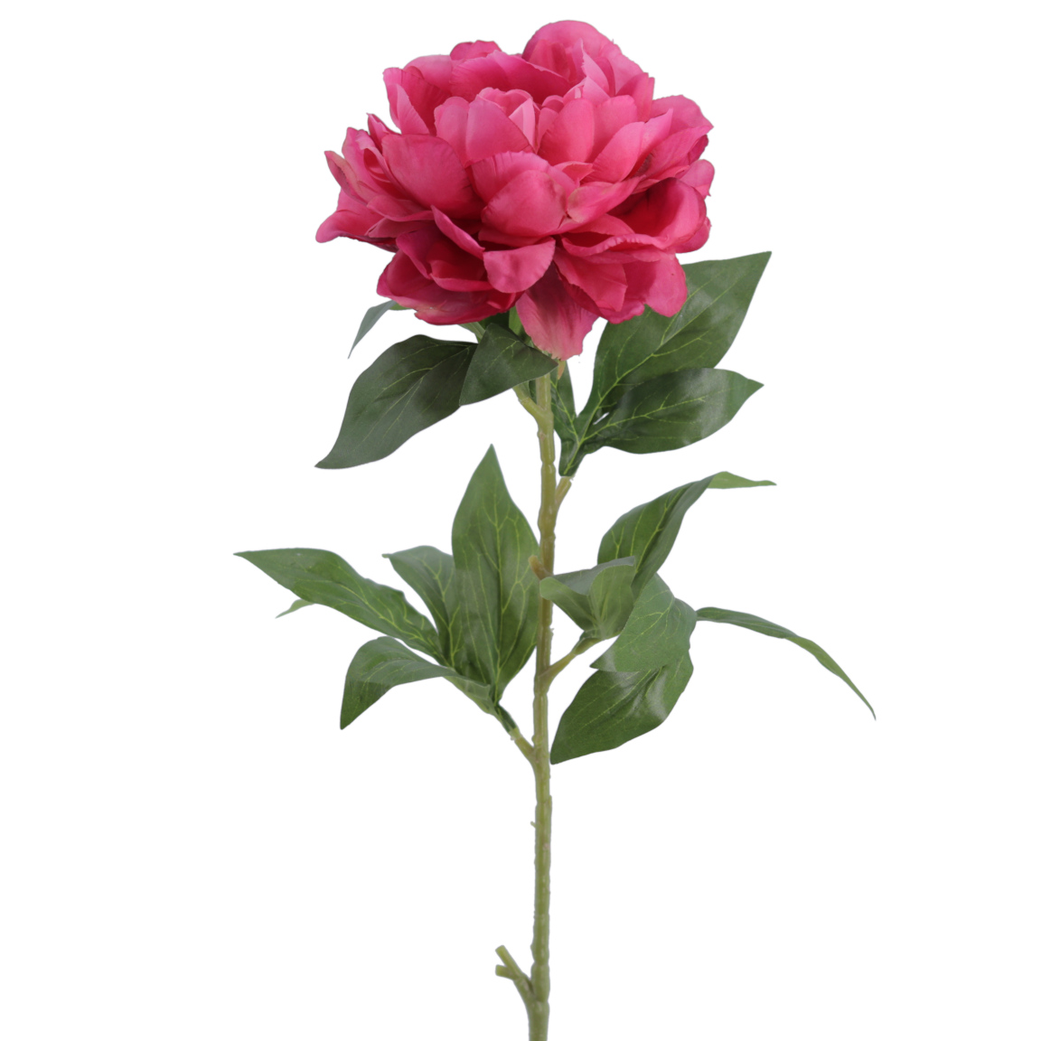 PEONIA 78CM FUCSIA
