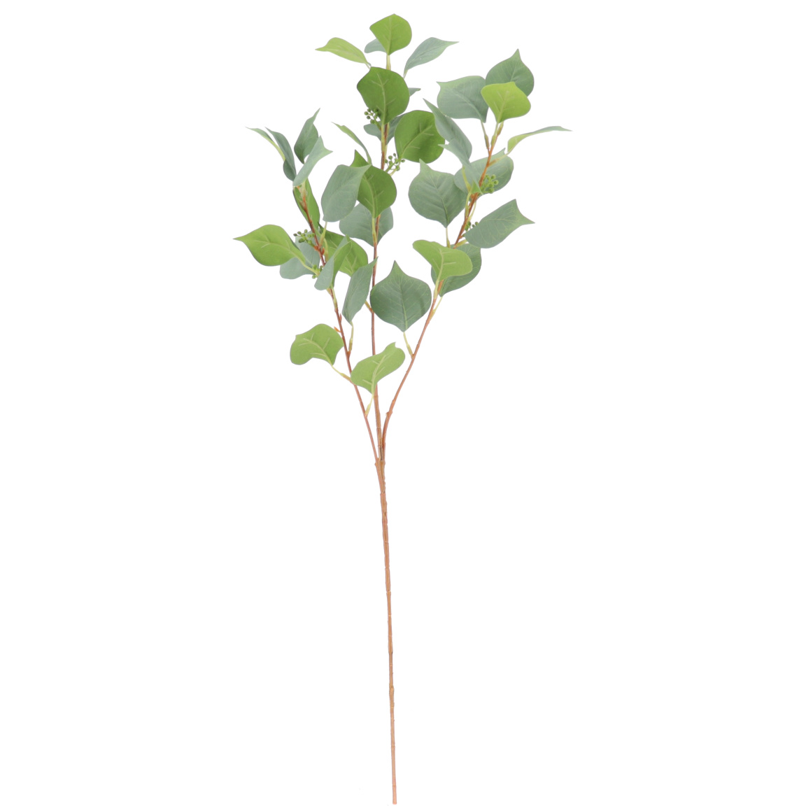 EUCALYPTUS VERDE 80CM