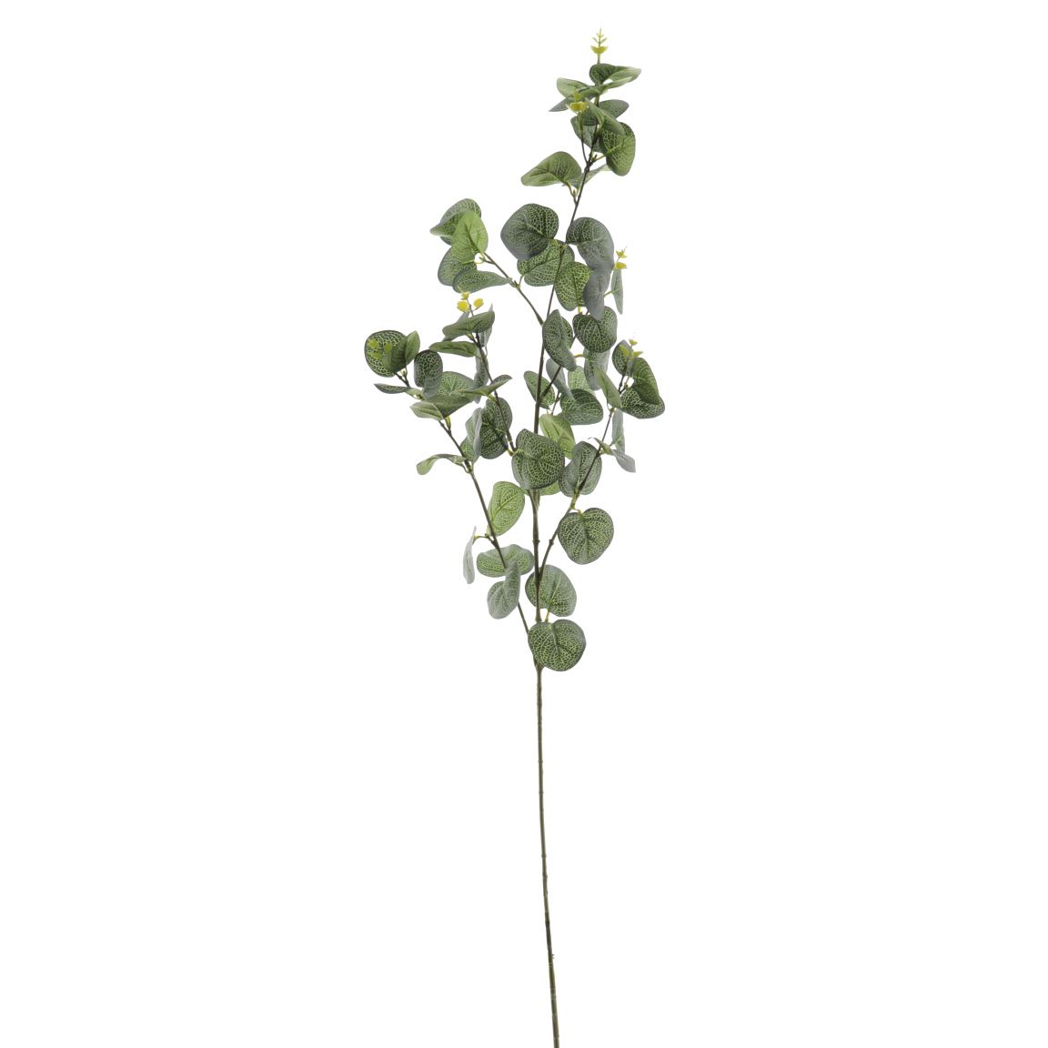 EUCALYPTUS 90CM VERDE
