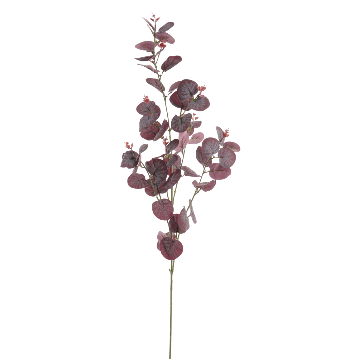 EUCALYPTUS 90CM BURDEOS