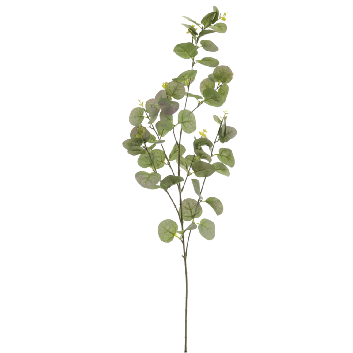 EUCALYPTUS 90CM VERDE