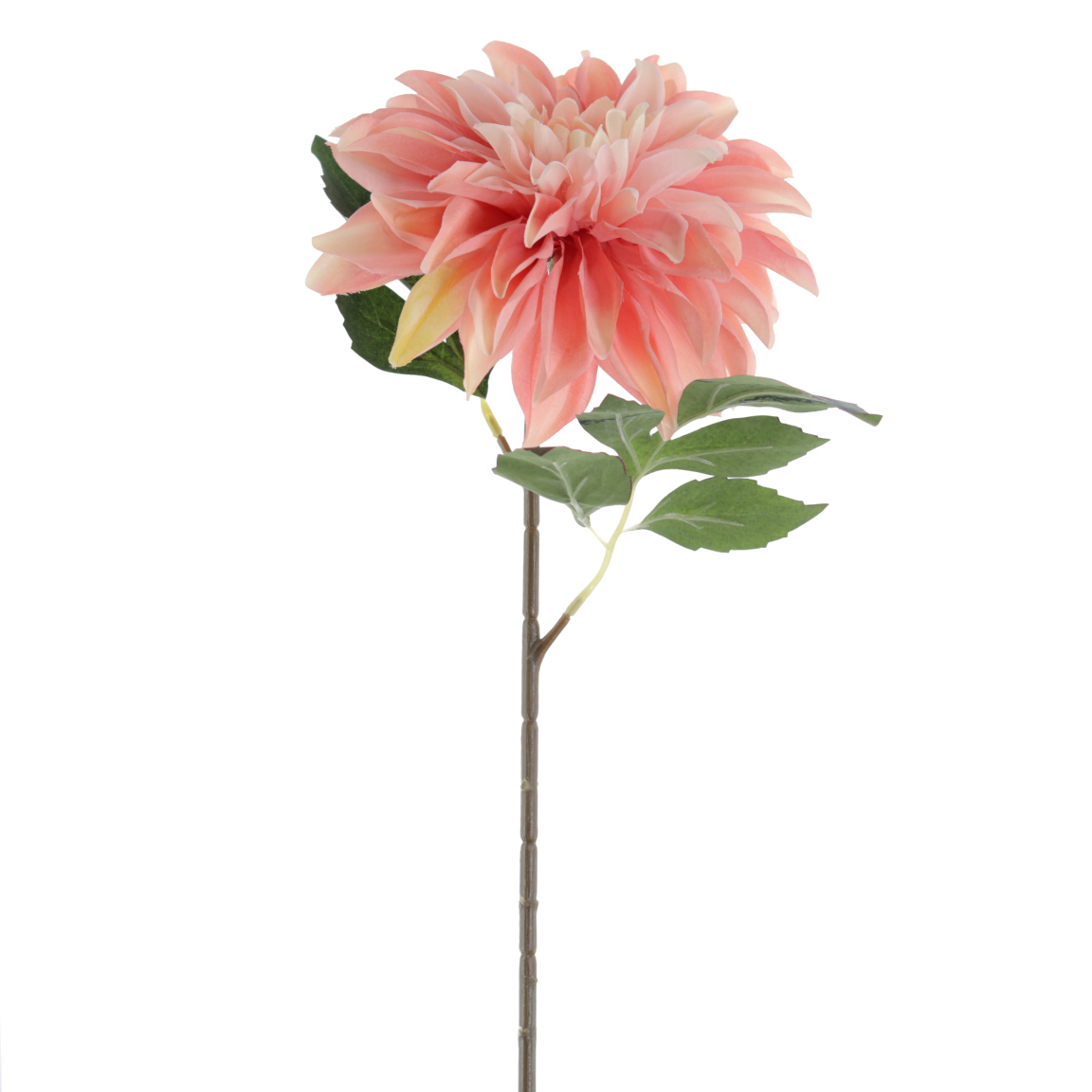 DAHLIA COLECCION SUNSET 69 CMS CORAL