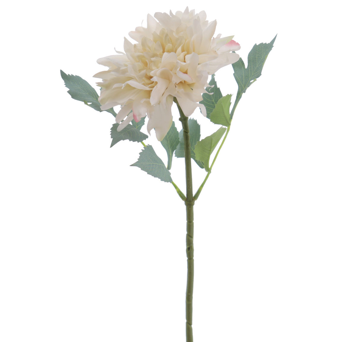 DAHLIA COLECCION VERONA 62CM BEIGE