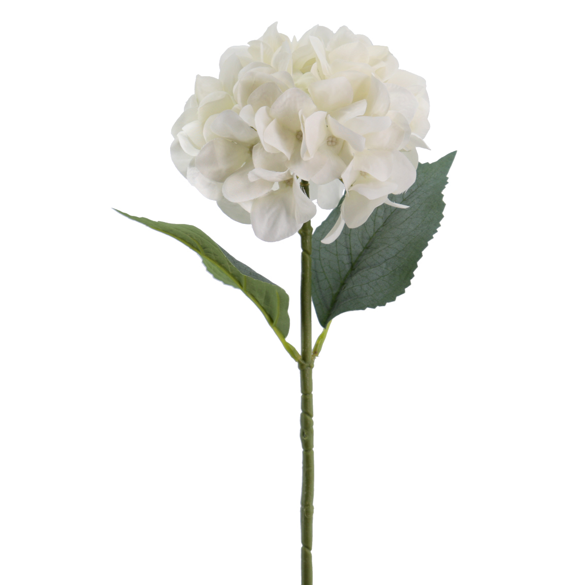 HYDRANGEA COLECCION VERONA 66CM BEIGE