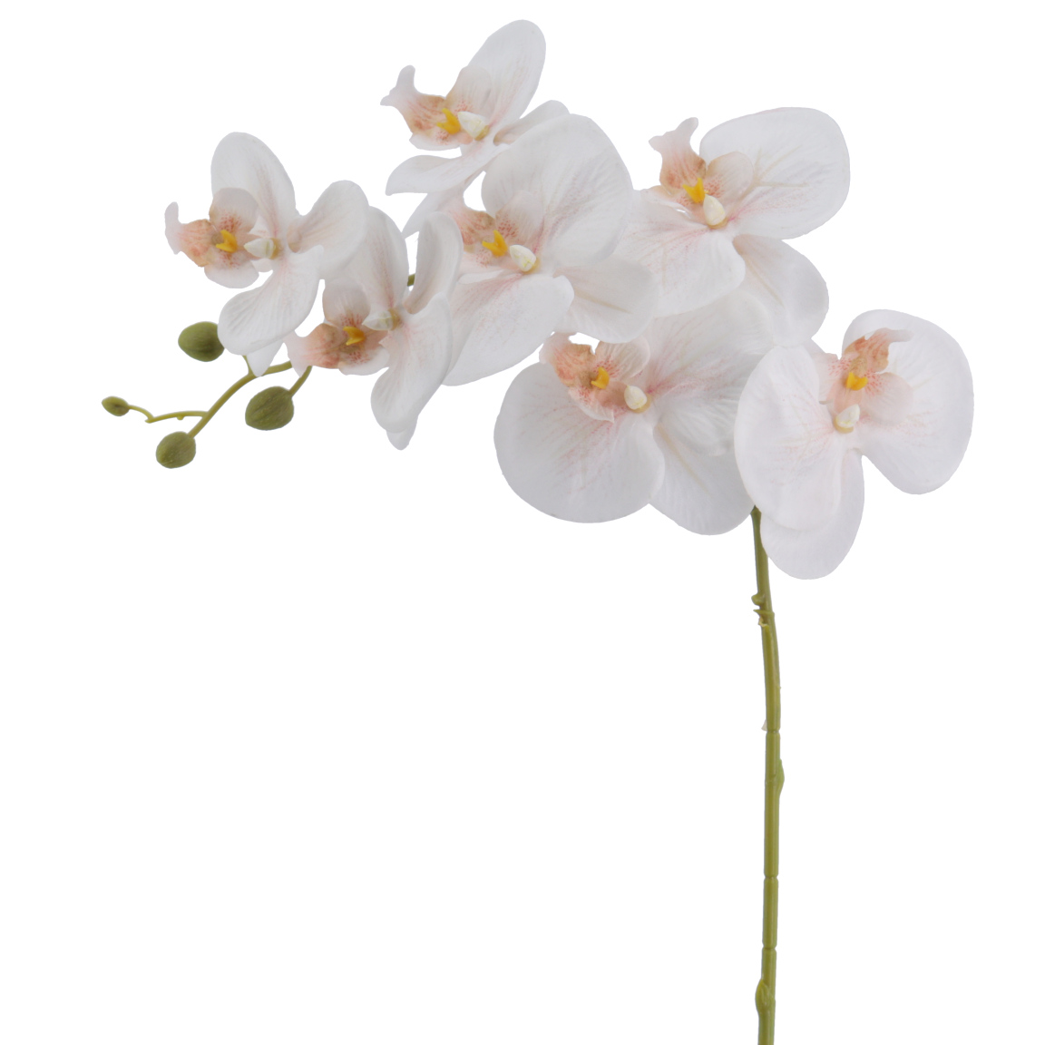 ORQUIDEA COLECCION VERONA 80 CMS BEIGE