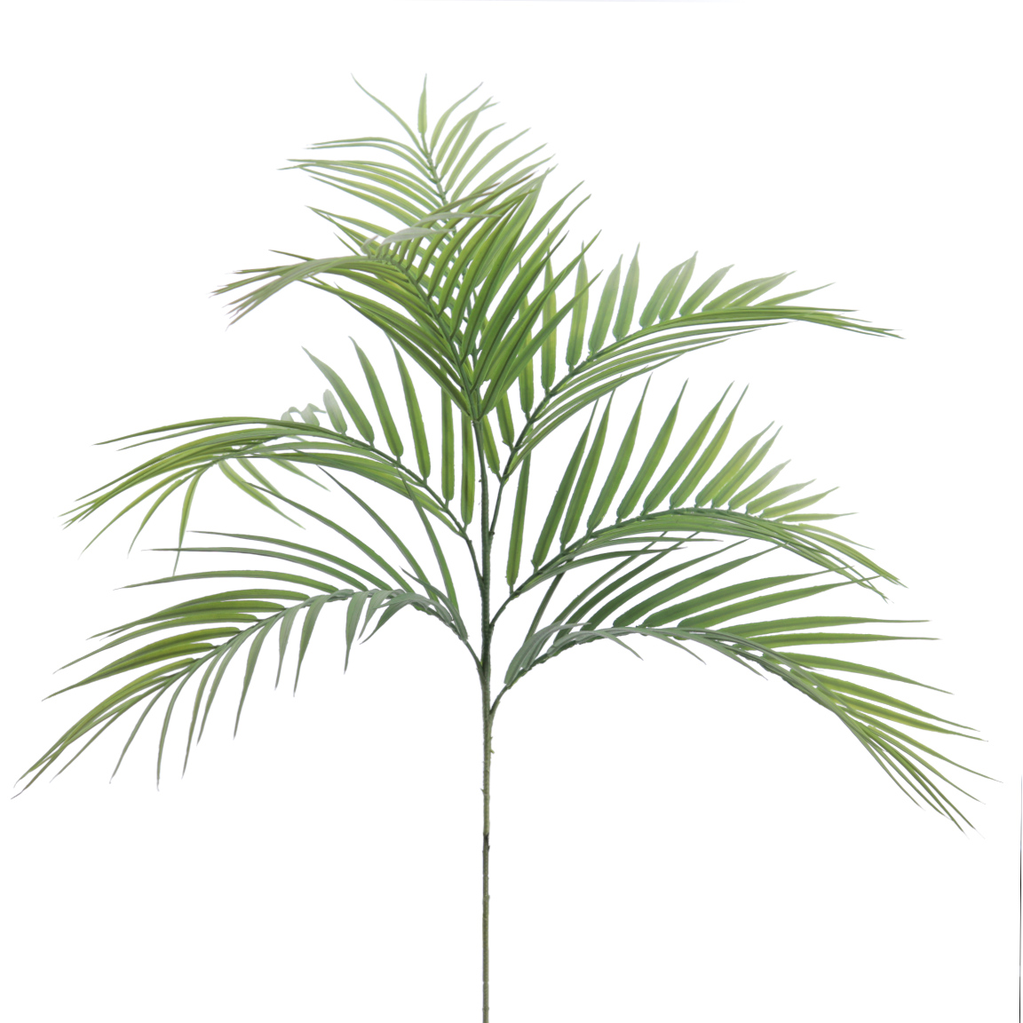 PALM X7 66CM VERDE