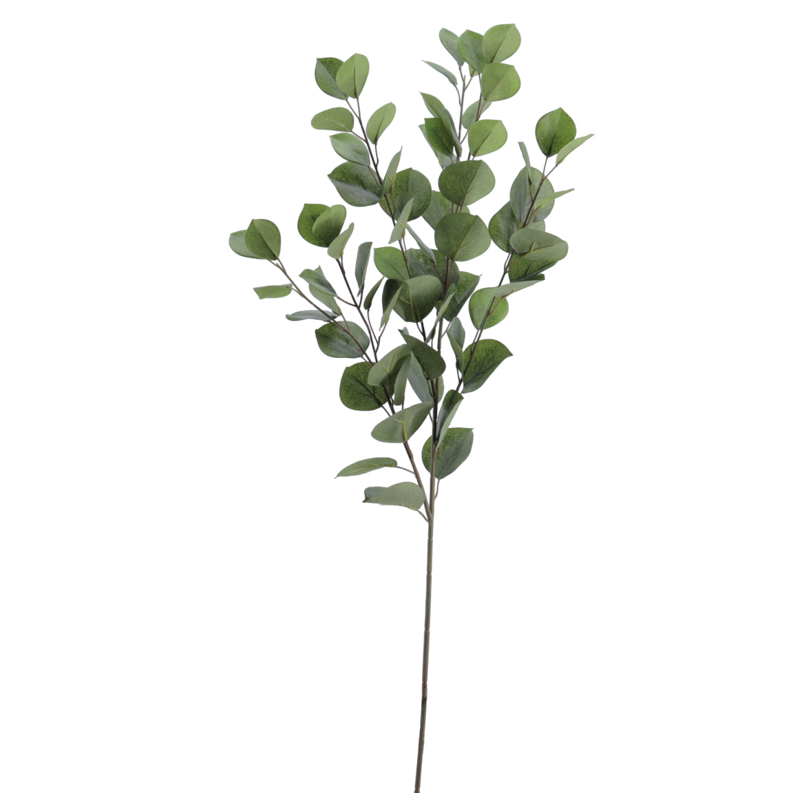 EUCALYPTUS VERDE 82CM