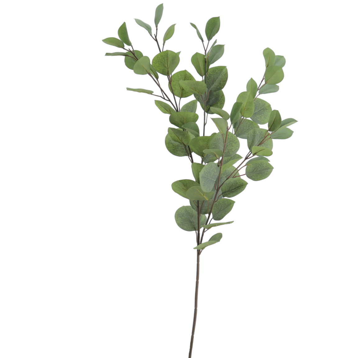 EUCALYPTUS VERDE 82CM
