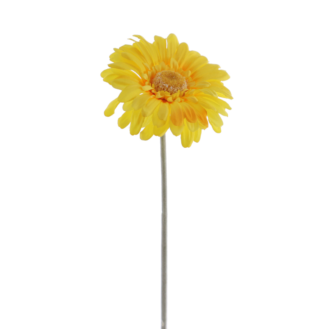 GERBERA AMARILLO