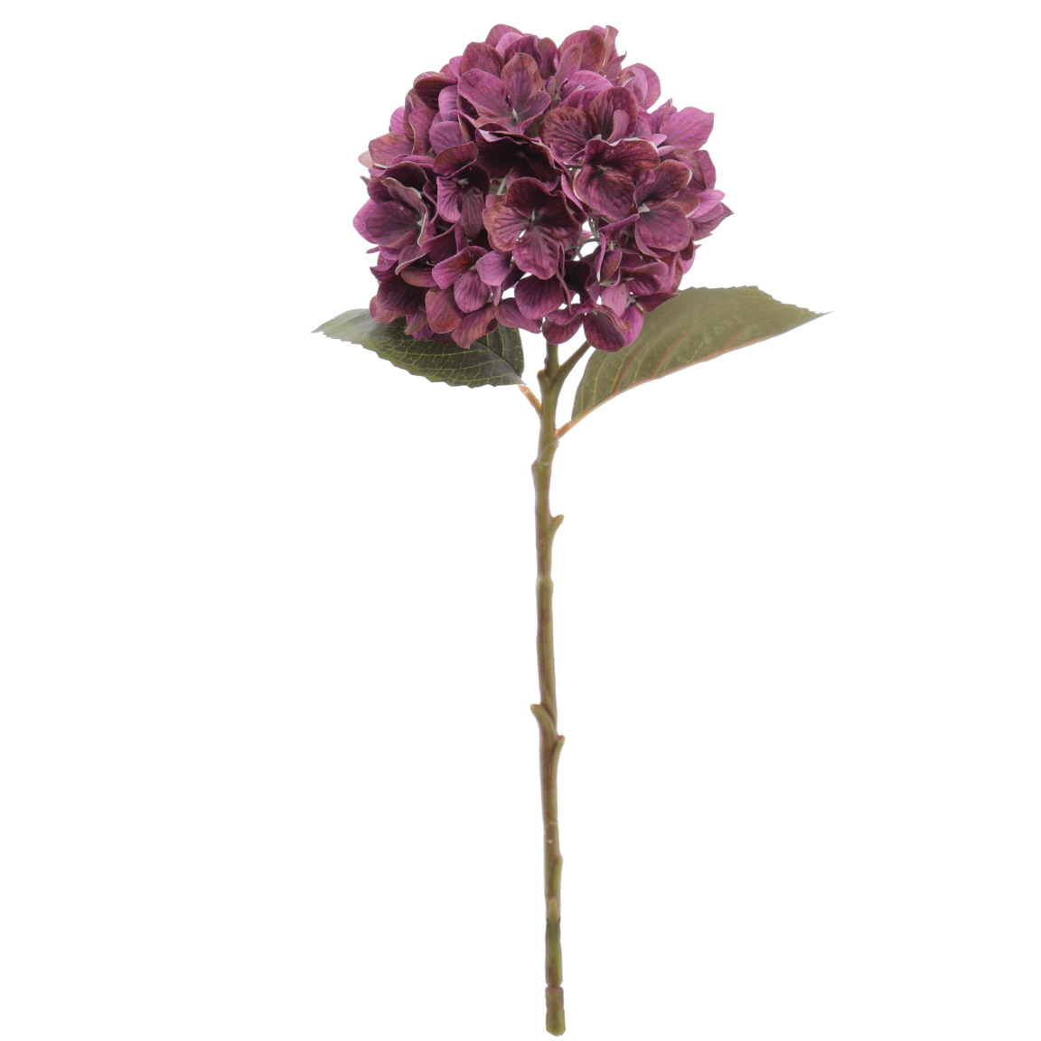 HYDRANGEA 50CM PURPURA