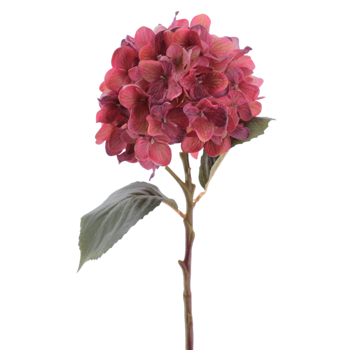 HYDRANGEA 50CM CEREZA