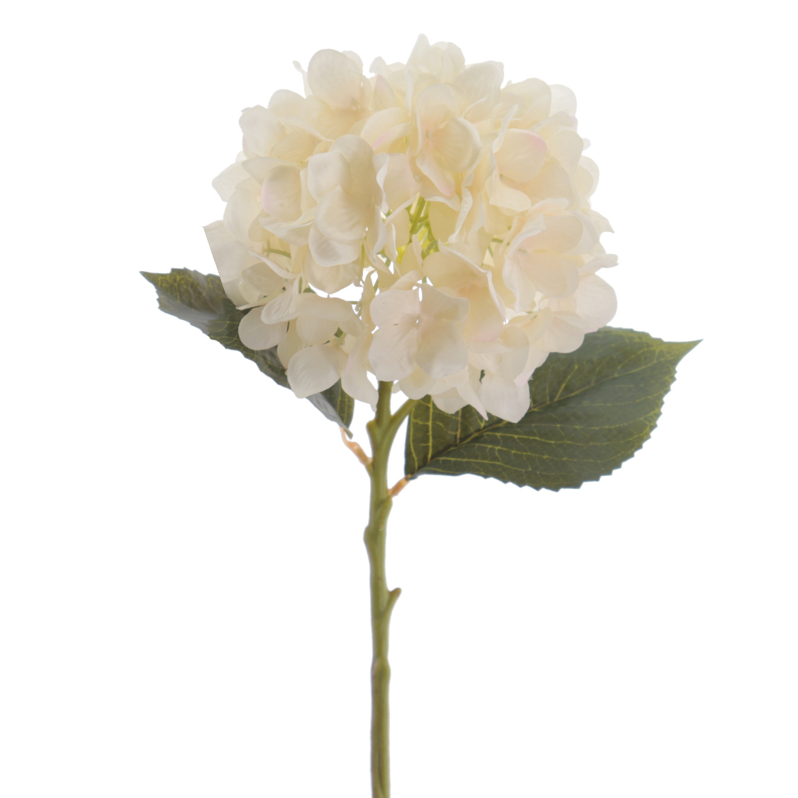 HYDRANGEA 50CM BEIGE