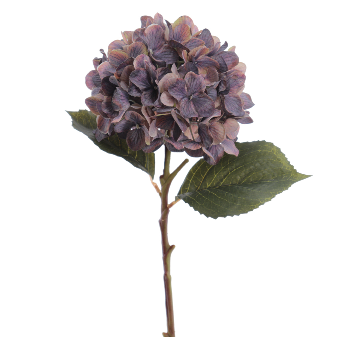 HYDRANGEA 50CM GRIS PERLA