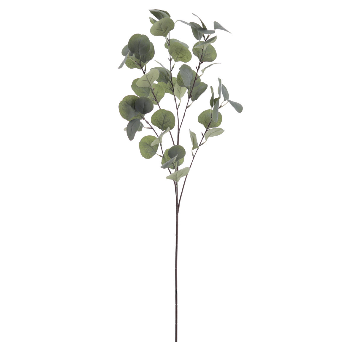 EUCALIPTUS 90CM VERDE
