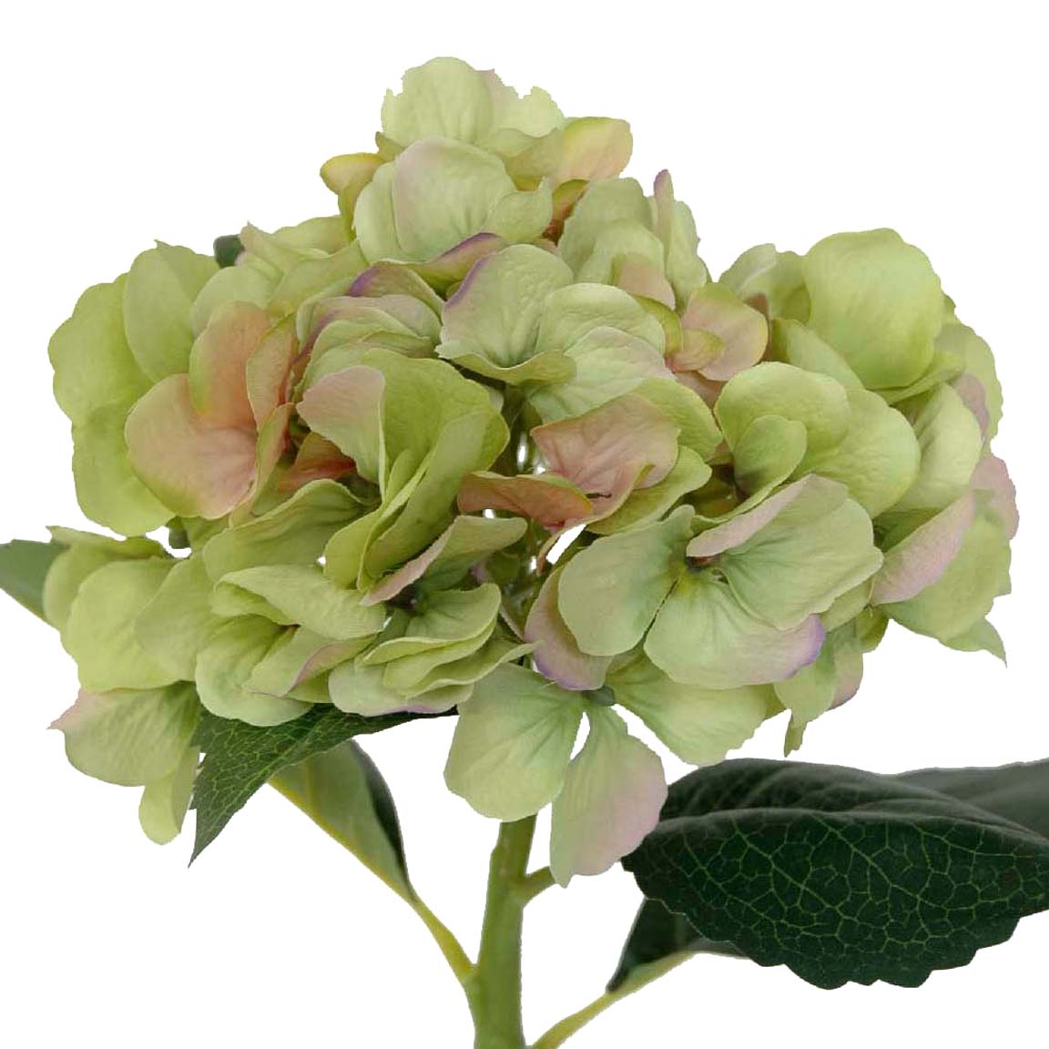 HORTENSIA VERDE 48CM