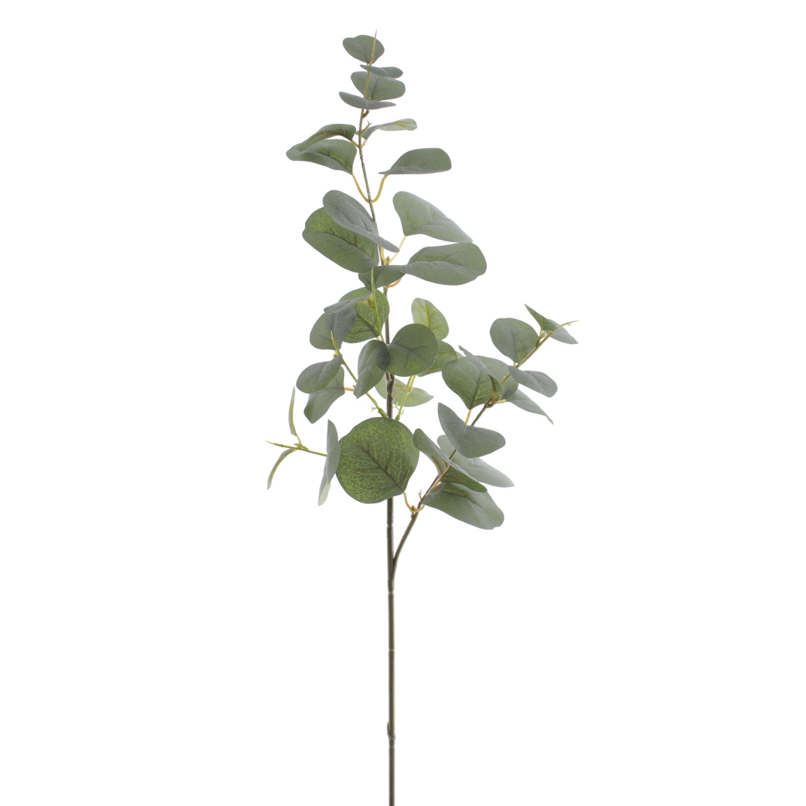 EUCALYPTUS VERDE FLOCADO