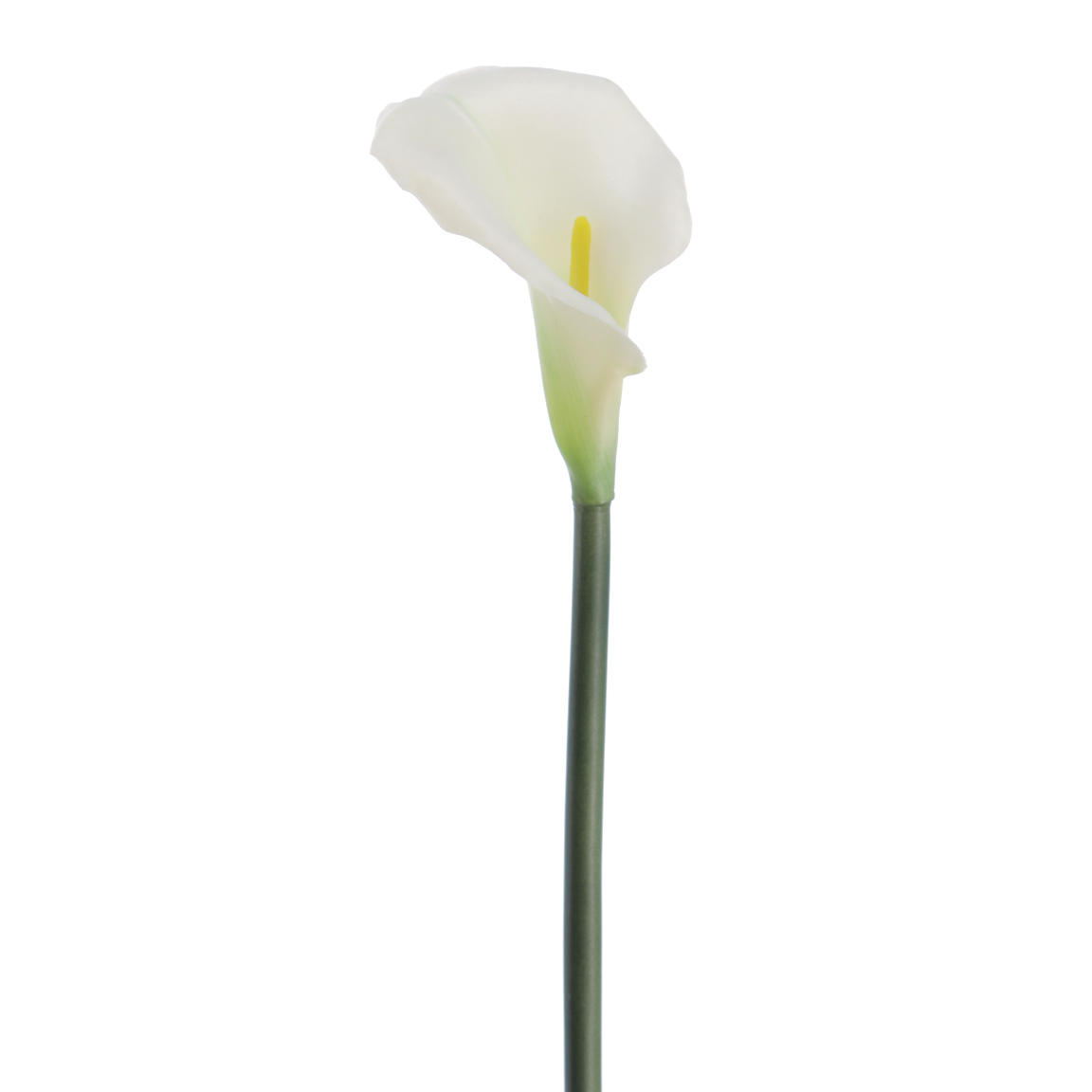 CALLA BLANCA 75CM