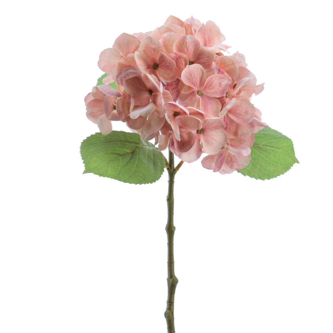 HYDRANGEA ROSA 47CM
