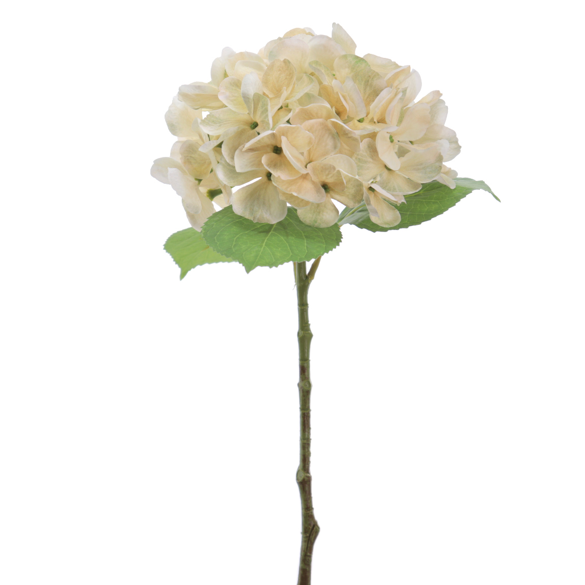 HYDRANGEA BEIGE 47CM