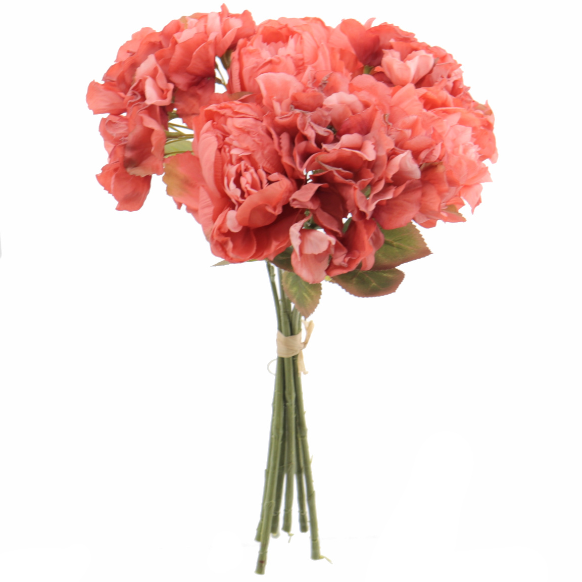 ATADO PEONIA HYDRAGEA CORAL