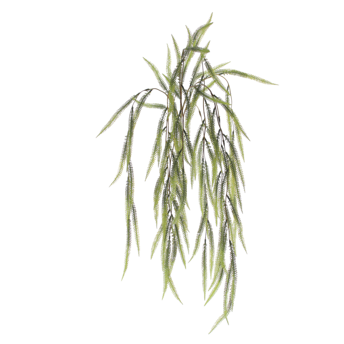 COLGANTE FOXTAIL VERDE