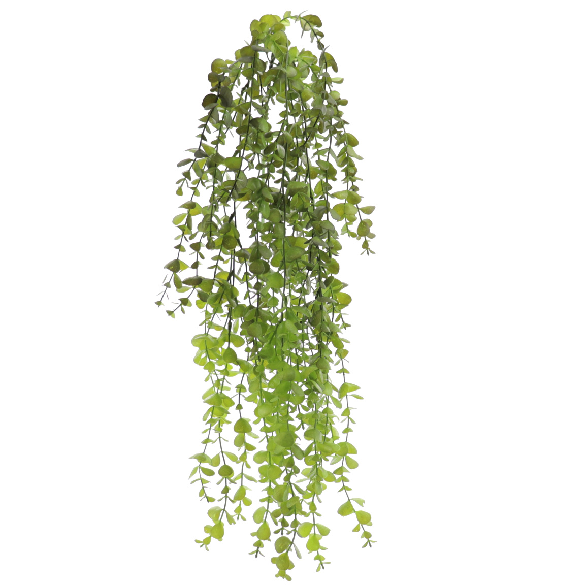 COLGANTE EUCALYPTUS VERDE