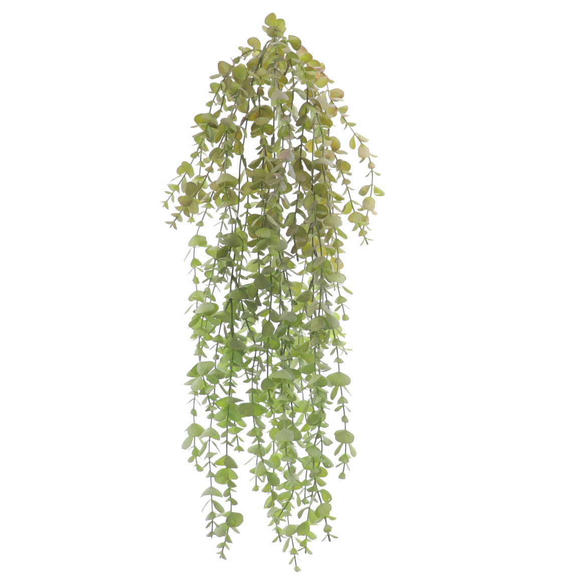 COLGANTE EUCALYPTUS VERDE
