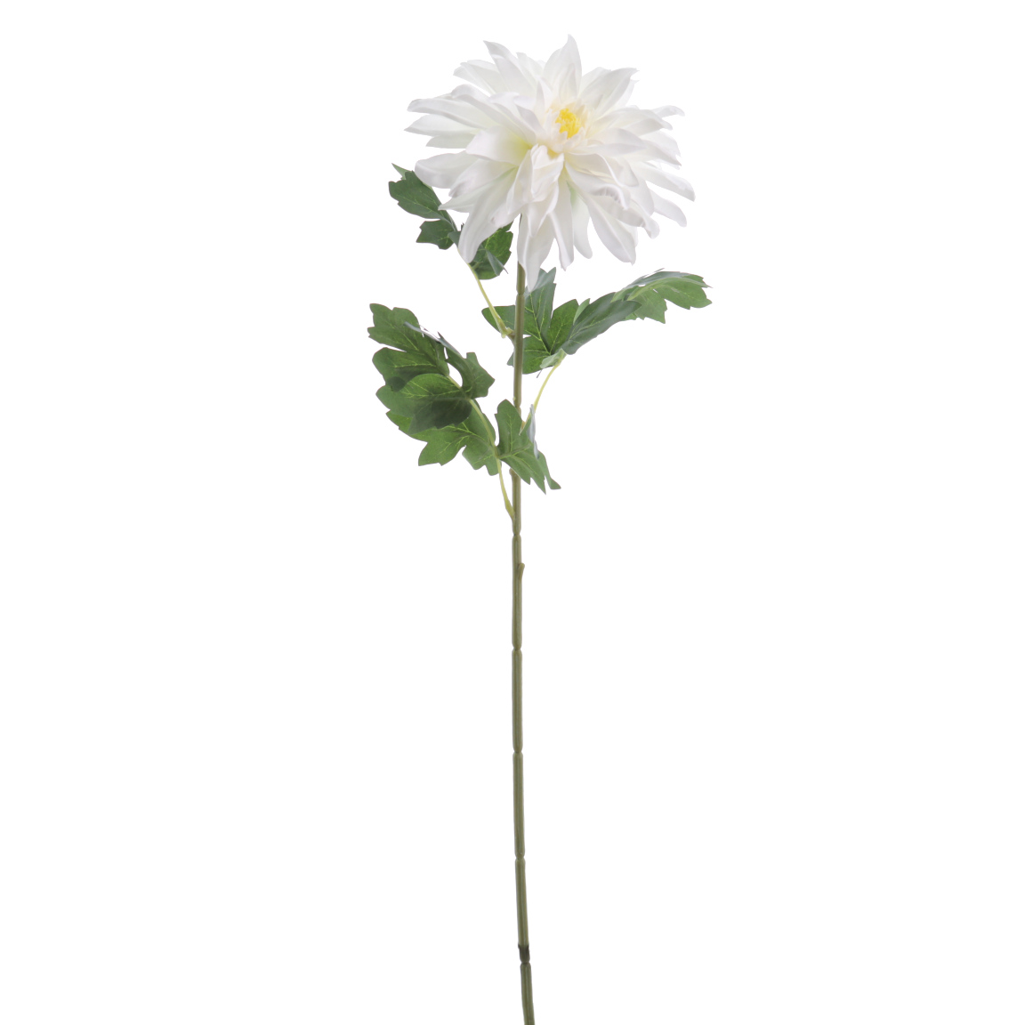DAHLIA 65CM CREMA