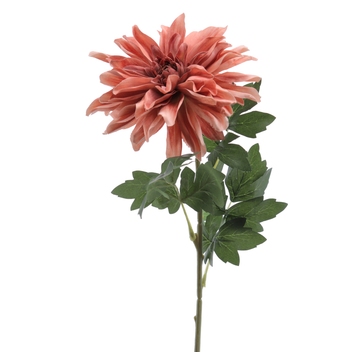 DAHLIA 65CM SIENA
