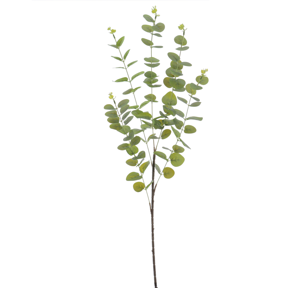 EUCALYPTUS 90CM VERDE