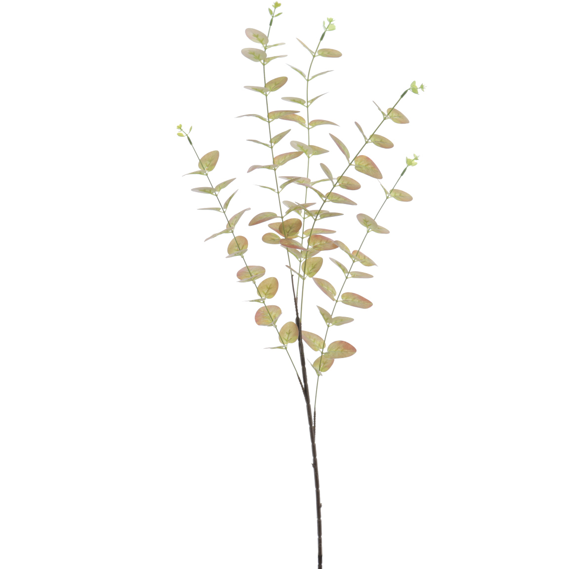 EUCALYPTUS 90CM ROJO VERDE